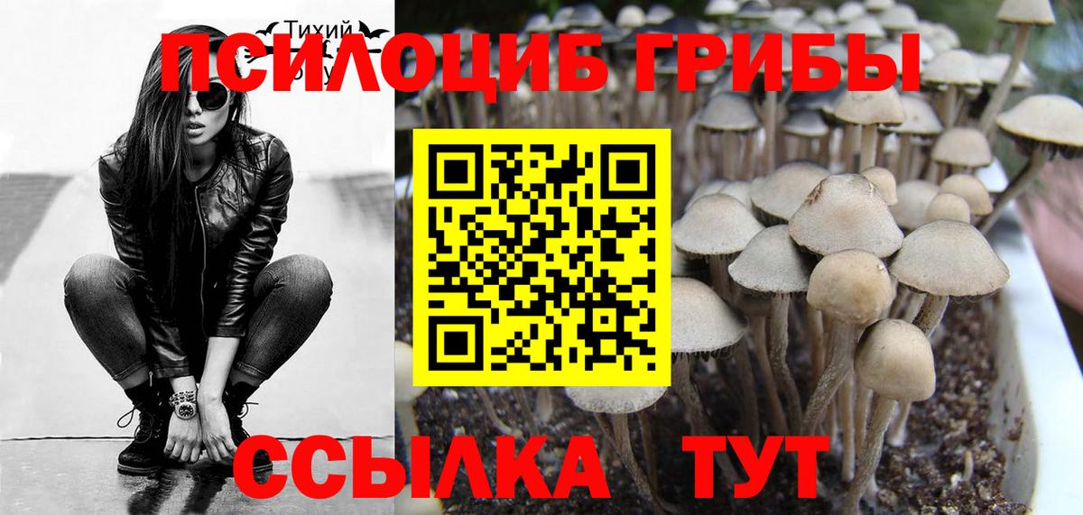 Псилоцибиновые грибы MAGIC MUSHROOMS Коркино