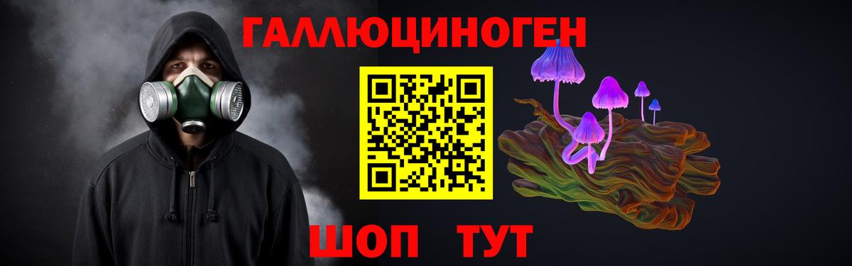 Коркино  Псилоцибиновые грибы Cubensis  закладки  Вход с VPN 